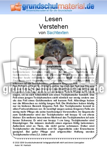 Teddyhamster - Sachtext.pdf